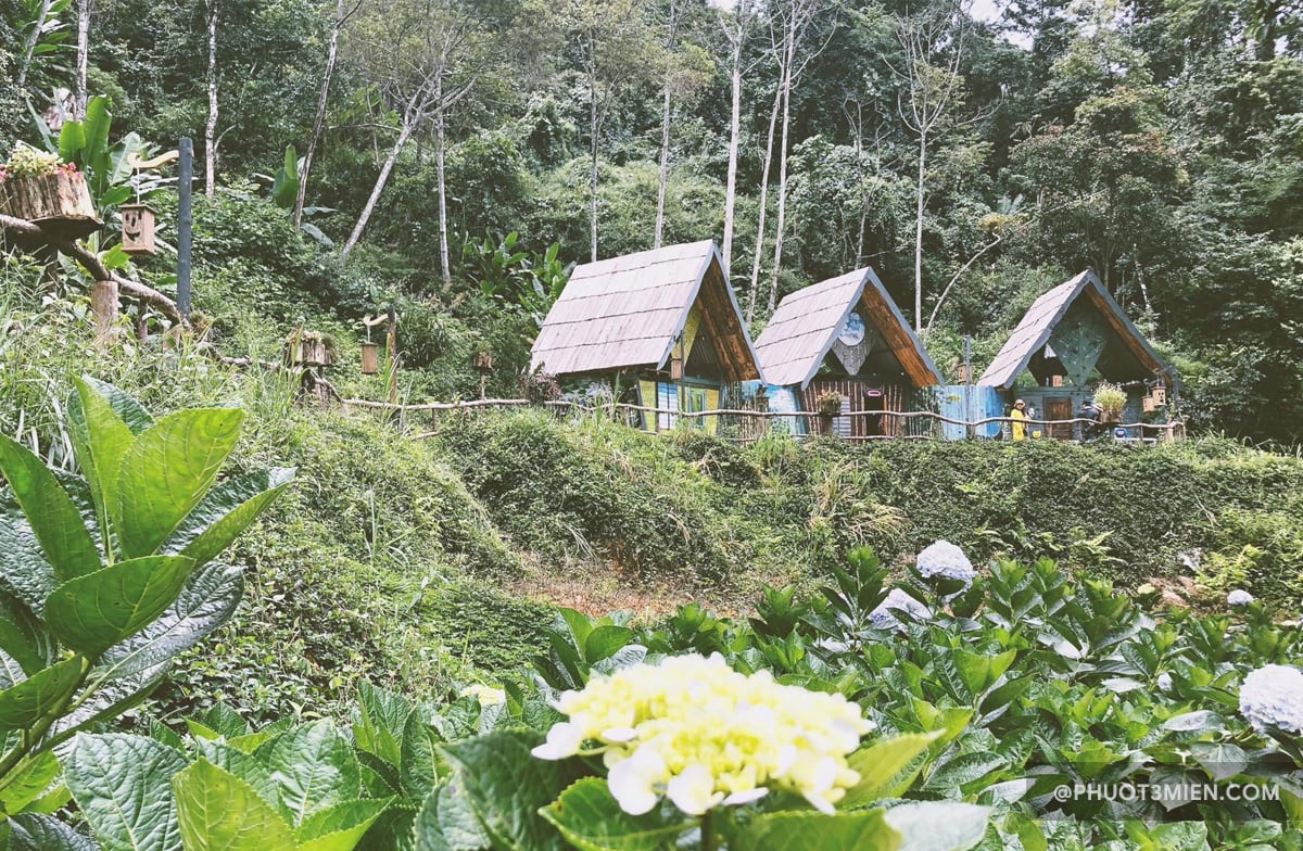 Cảnh thiên nhiên hoang sơ, mát mẻ