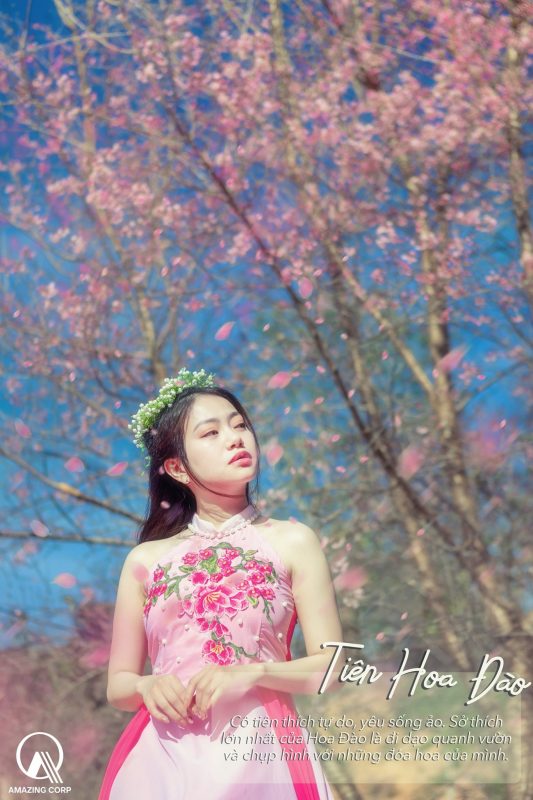 Nàng tiên Hoa Đào